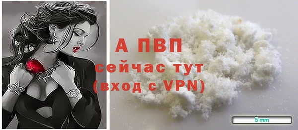 хмурый Тавда