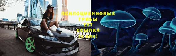 твердый Ельня