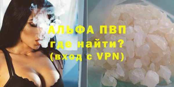стаф Елабуга