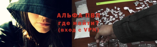 твердый Ельня