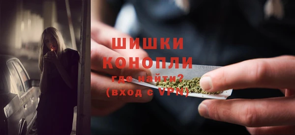 твердый Ельня