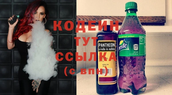 хмурый Тавда