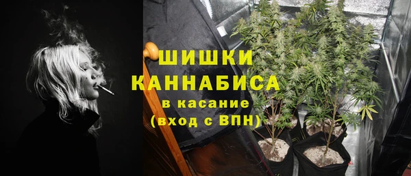 твердый Ельня