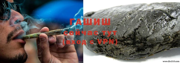 твердый Ельня